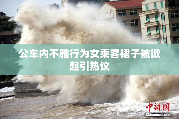 公车内不雅行为女乘客裙子被掀起引热议