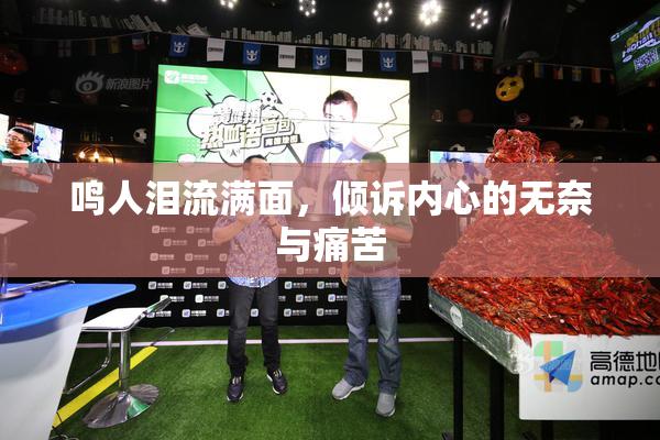 鸣人泪流满面，倾诉内心的无奈与痛苦