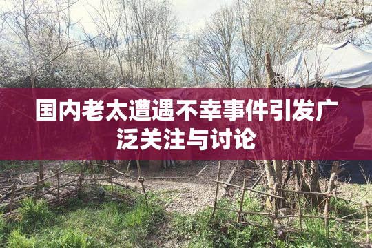 国内老太遭遇不幸事件引发广泛关注与讨论