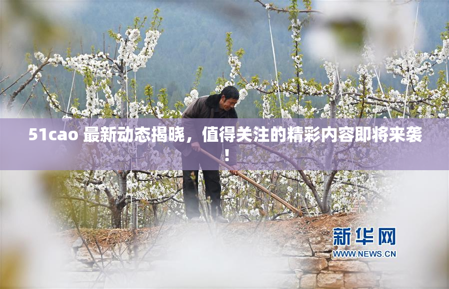 51cao 最新动态揭晓，值得关注的精彩内容即将来袭！