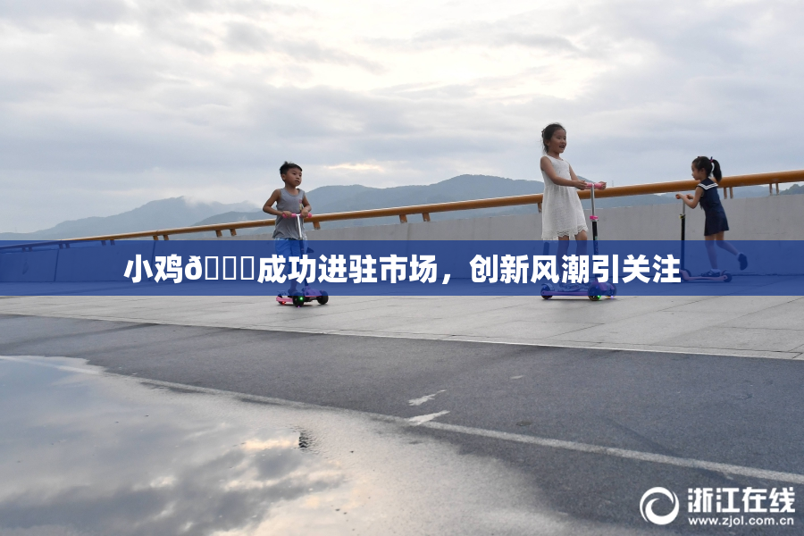 小鸡🐔成功进驻市场，创新风潮引关注