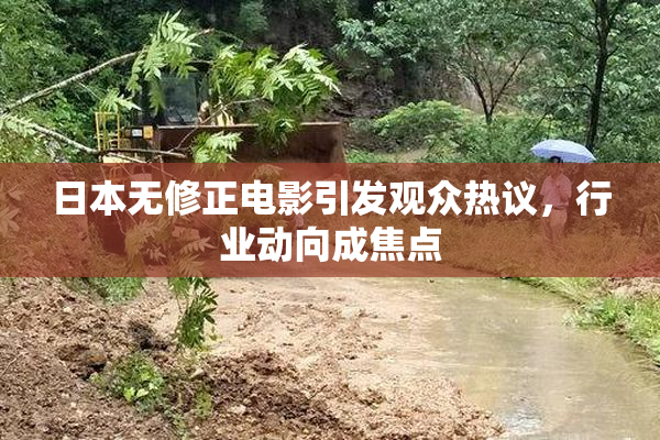日本无修正电影引发观众热议，行业动向成焦点