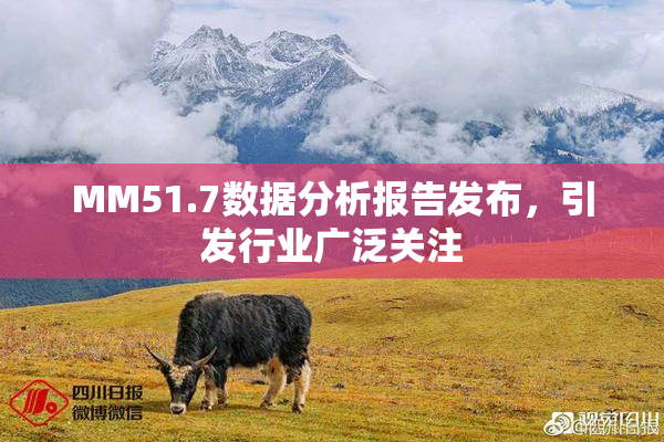MM51.7数据分析报告发布，引发行业广泛关注