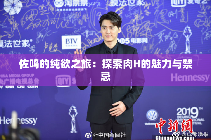 佐鸣的纯欲之旅：探索肉H的魅力与禁忌