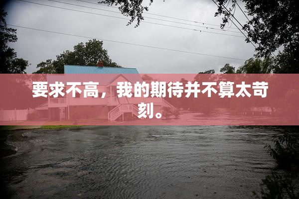 要求不高，我的期待并不算太苛刻。