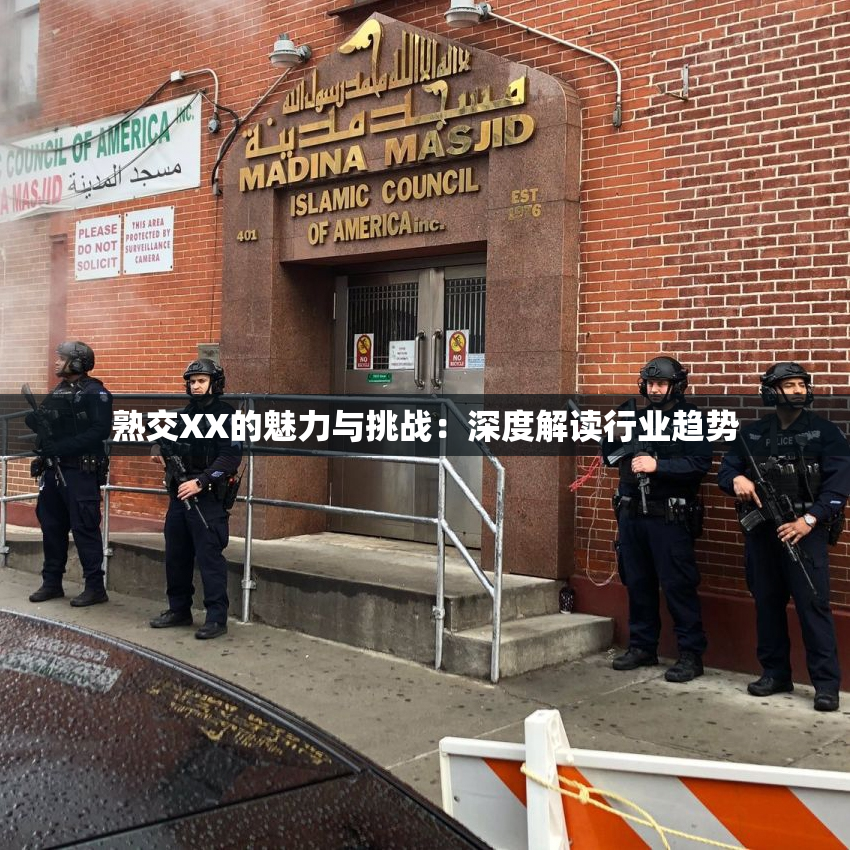 熟交XX的魅力与挑战：深度解读行业趋势