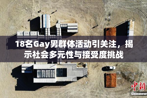 18名Gay男群体活动引关注，揭示社会多元性与接受度挑战