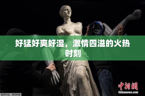 好猛好爽好湿，激情四溢的火热时刻