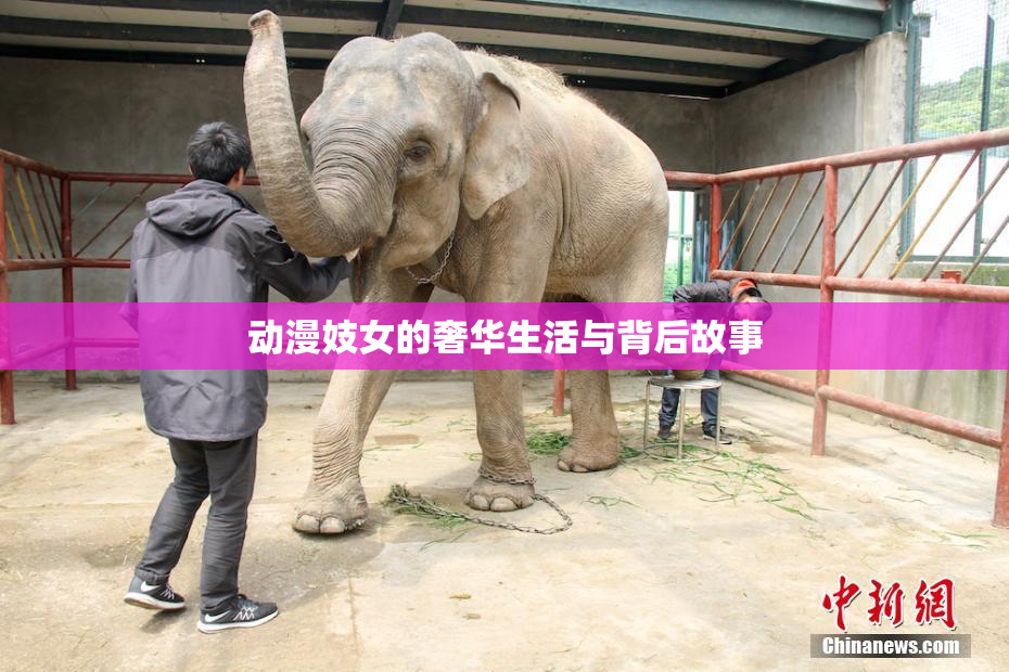动漫妓女的奢华生活与背后故事