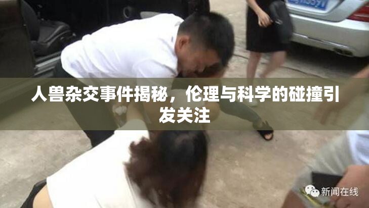 人兽杂交事件揭秘，伦理与科学的碰撞引发关注