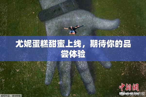 尤妮蛋糕甜蜜上线，期待你的品尝体验