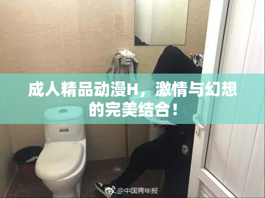 成人精品动漫H，激情与幻想的完美结合！
