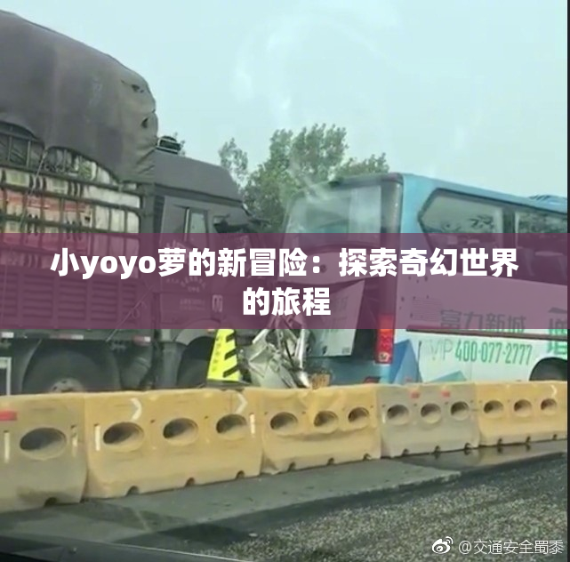 小yoyo萝的新冒险：探索奇幻世界的旅程