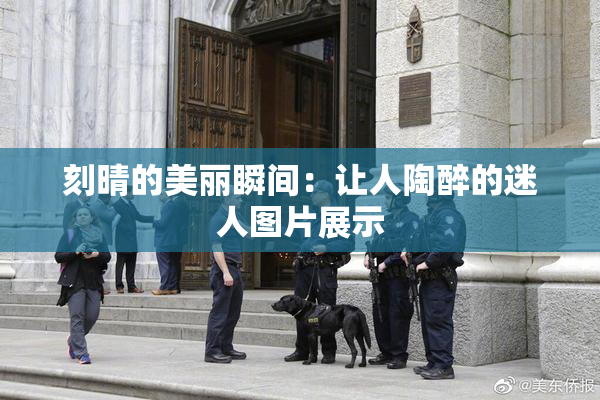 刻晴的美丽瞬间：让人陶醉的迷人图片展示