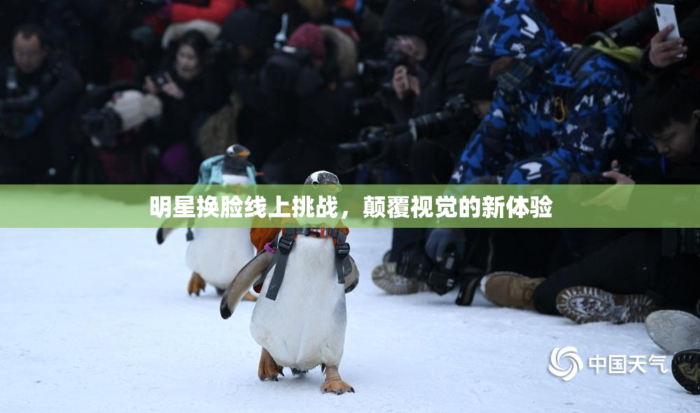 明星换脸线上挑战，颠覆视觉的新体验