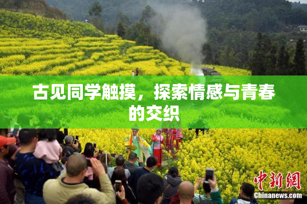 古见同学触摸，探索情感与青春的交织