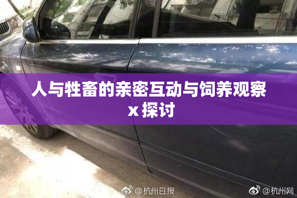 人与牲畜的亲密互动与饲养观察ⅹ探讨