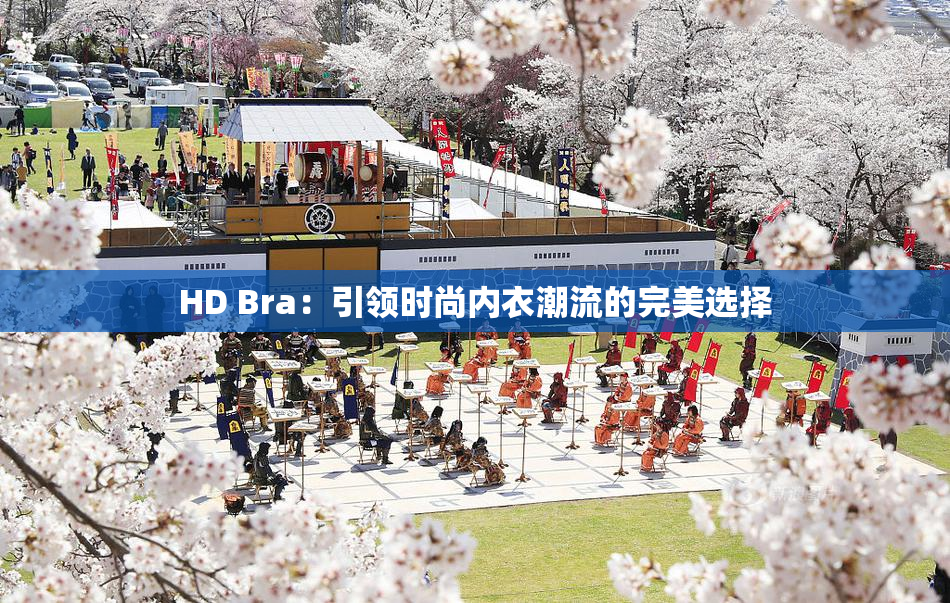 HD Bra：引领时尚内衣潮流的完美选择