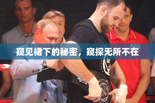 窥见裙下的秘密，窥探无所不在