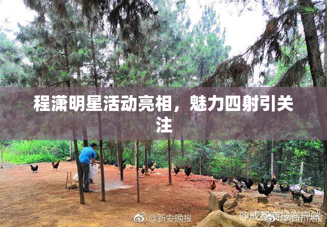 程潇明星活动亮相，魅力四射引关注