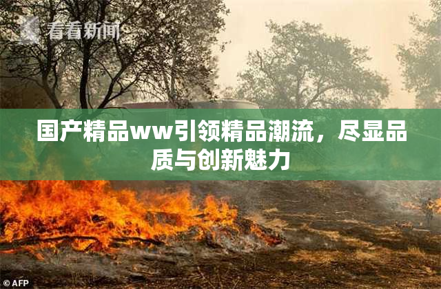 国产精品ww引领精品潮流，尽显品质与创新魅力