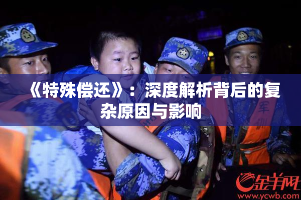 《特殊偿还》：深度解析背后的复杂原因与影响