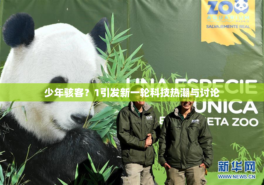 少年骇客？1引发新一轮科技热潮与讨论