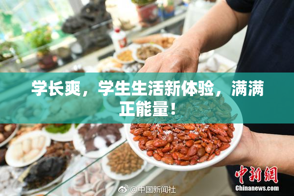 学长爽，学生生活新体验，满满正能量！