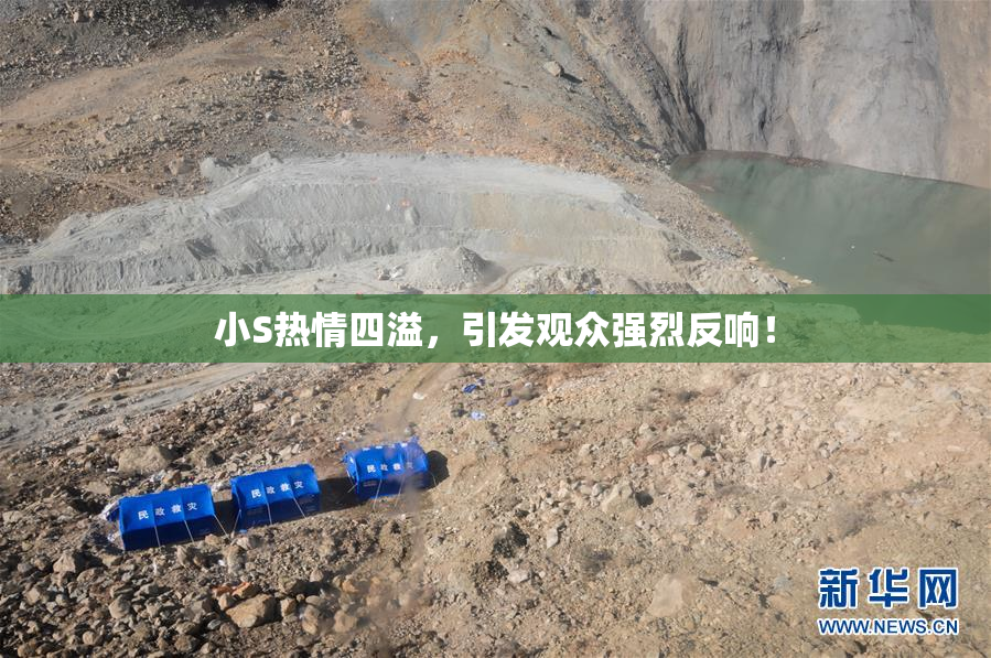 小S热情四溢，引发观众强烈反响！