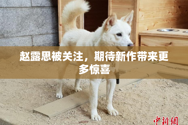 赵露思被关注，期待新作带来更多惊喜