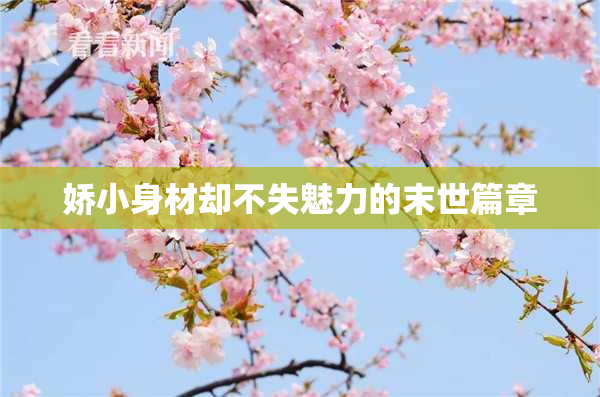 娇小身材却不失魅力的末世篇章