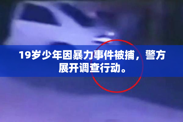19岁少年因暴力事件被捕，警方展开调查行动。
