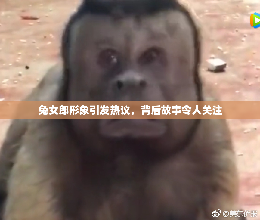 兔女郎形象引发热议，背后故事令人关注