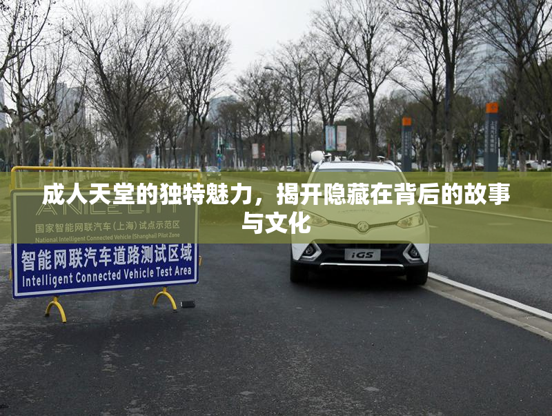 成人天堂的独特魅力，揭开隐藏在背后的故事与文化
