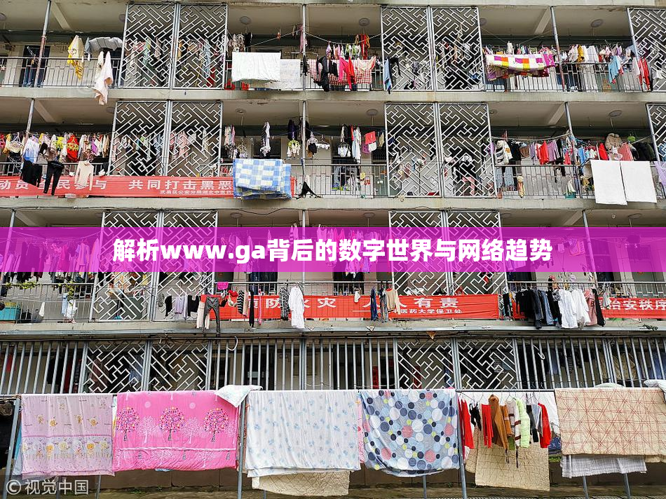 解析www.ga背后的数字世界与网络趋势