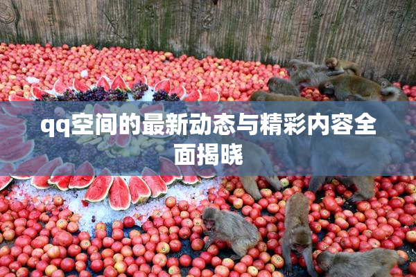 qq空间的最新动态与精彩内容全面揭晓