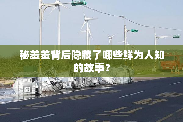 秘羞羞背后隐藏了哪些鲜为人知的故事？