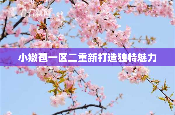 小嫩苞一区二重新打造独特魅力