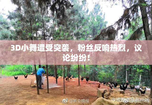 3D小舞遭受突袭，粉丝反响热烈，议论纷纷！