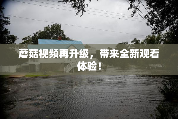 蘑菇视频再升级，带来全新观看体验！