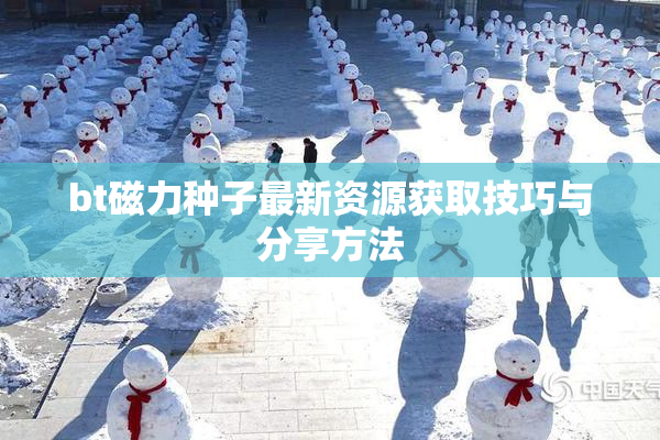 bt磁力种子最新资源获取技巧与分享方法