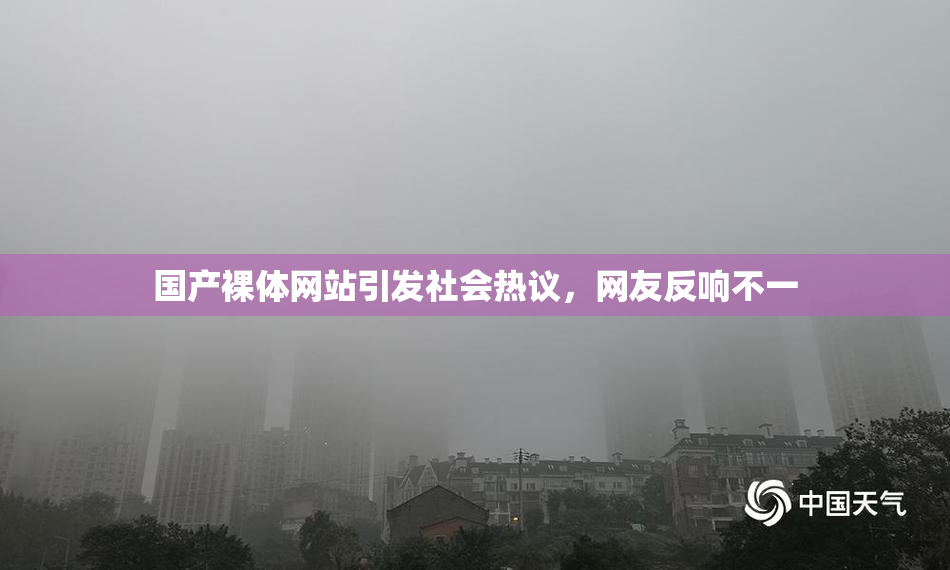 国产裸体网站引发社会热议，网友反响不一