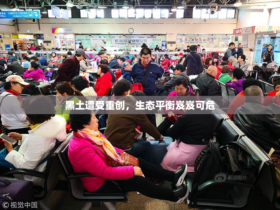 黑土遭受重创，生态平衡岌岌可危