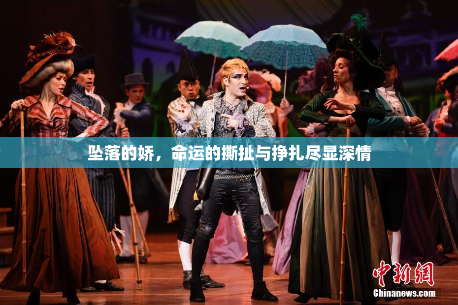坠落的娇，命运的撕扯与挣扎尽显深情