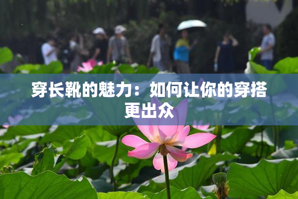 穿长靴的魅力：如何让你的穿搭更出众
