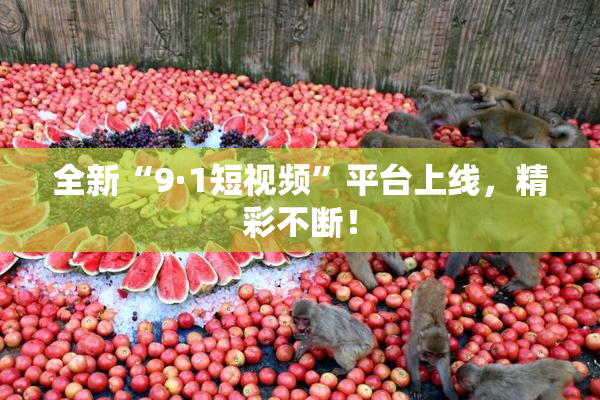 全新“9·1短视频”平台上线，精彩不断！