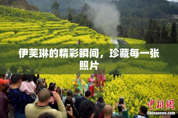 伊芙琳的精彩瞬间，珍藏每一张照片