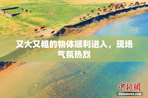 又大又粗的物体顺利进入，现场气氛热烈