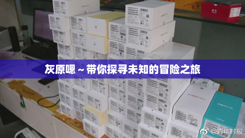灰原嗯～带你探寻未知的冒险之旅