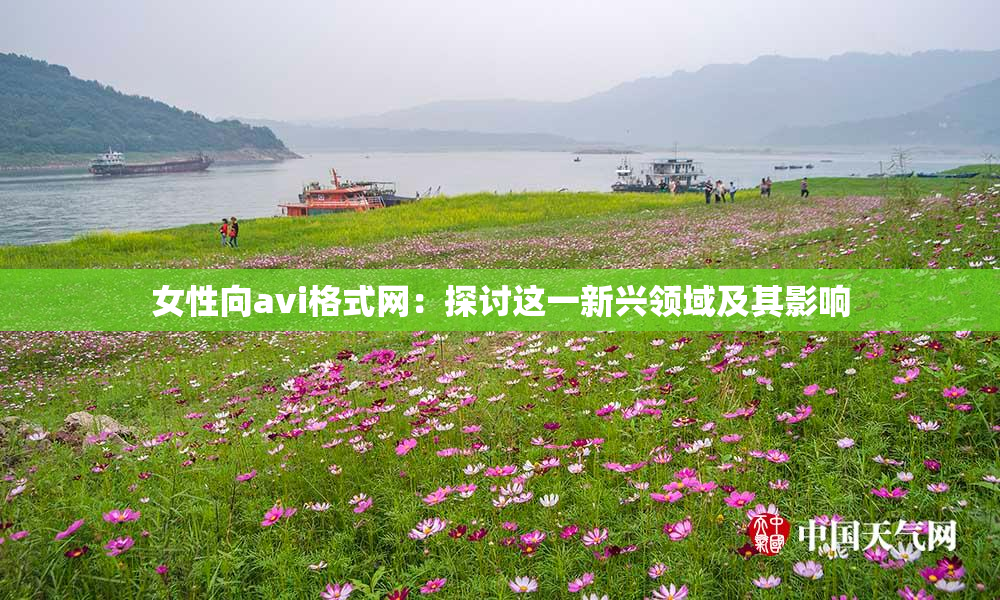 女性向avi格式网：探讨这一新兴领域及其影响
